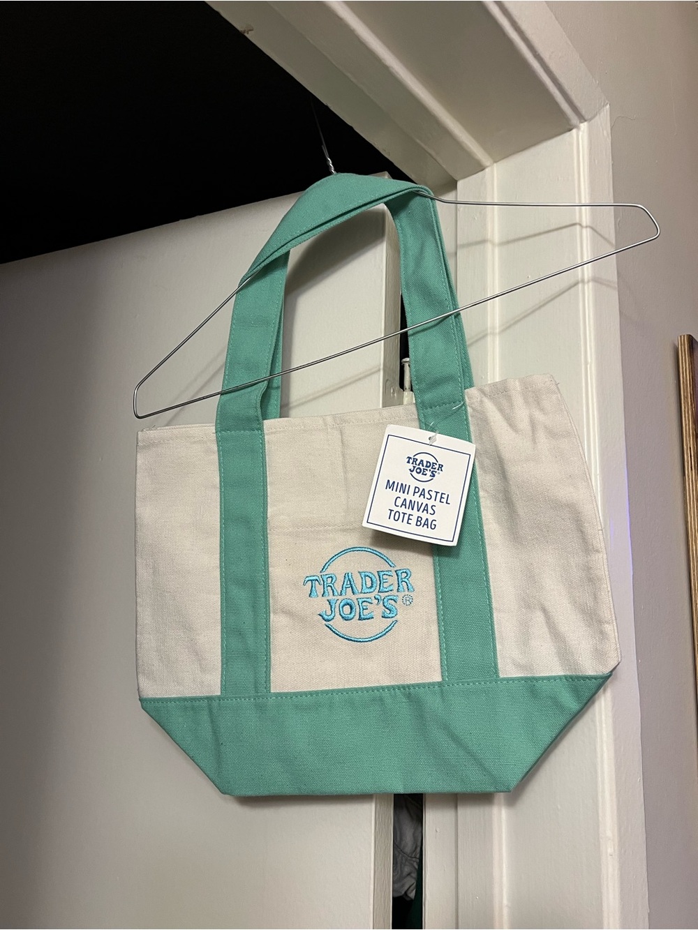 Trader Joe’s • Mini Pastel Canvas Tote Bag in Mint 🍃💚🩵